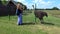 Woman holding toddler girl on hands near fenced ostrich bird in zoo