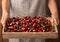 Woman holding tray with tasty cherries, closeup