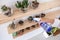 A woman holding and using a water bottle to water cactus on wooden shelf