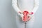 Woman holding Uterus and Ovaries model. Ovarian and Cervical cancer, Cervix disorder, Endometriosis, Hysterectomy, Uterine