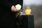 Woman holding white rose near black granite tombstone with candle outdoors. Funeral ceremony