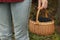 Woman holding wicker basket with delicious bilberries outdoors, closeup