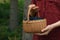 Woman holding wicker basket with delicious bilberries outdoors, closeup. Space for text