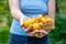 Woman holding wicker basket with large ripe apricots, close-up, apricot harvest concept