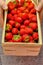 Woman holding a wooden basket full of red ripe organic strawberry. Good berries harvest. Farming concept.