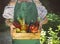 Woman holding wooden box with bottles of lemonade