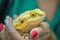 Woman holding yellow iguana in her hands