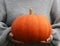 Woman holds big pumpkin in her hands, halloween theme, autumn harvest, woman`s hands