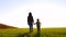 A woman holds the hand of a child, walking on the green grass. A happy family goes to meet the sun at sunset.