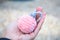 Woman holds in hand rose new year ball amigurumi. Knitted of plush yarn soft toy for Christmas decoration. Giving