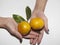 A woman holds in her hand orange two Mandarins fruit