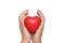 A woman holds a red symbolic heart in her palms. Close-up isolated on a white background. Concept of caring, warmth and charity