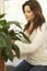 Woman At Home Looking After Houseplant