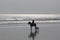 Woman on horse and dog on the beach