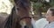 Woman, horse and harness at farm, summer and ready for riding, training or ranch for adventure in summer. Cowgirl