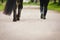 Woman and horse on the leash, walking on the street