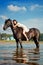 Woman on a horse by the sea