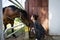 Woman with horse in stable at countryside ranch. Girl horse rider in summer outdoor. Equestrian and horseback riding. Horse