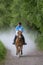 Woman horseback riding in forest parth