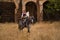 Woman horsewoman, young and beautiful, walking, riding her horse, in the countryside next to a ruined building. Concept horse