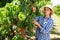Woman horticulturist picking peaches from tree in garden