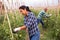 Woman horticulturist tying up tomato plants on vegetable garden