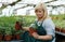 Woman horticulturist working with seedlings of strawberries while gardening