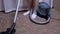 Woman, Housewife Vacuums Brown Carpet at Home. Cleaning, Order in Room. Zoom