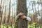 Woman hugged a tree with love in the forest