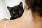 Woman hugging cute scared black cat, adoption concept. Kitty face closeup. Adorable black kitten with yellow eyes on female