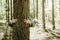 Woman hugging old tree in forest, embracing tree trunk