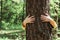 Woman hugging old tree in forest, embracing tree trunk with hands