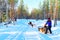 Woman at Husky Dogs Sled in Rovaniemi of Finland Lapland
