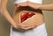 Woman and illustration of liver on beige background, closeup