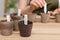 Woman inserting cards with names of vegetable seeds at table indoors, focus on peat pots. Space for text