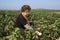 A woman inspecting cotton quality