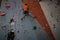 Woman instructing athlete in climbing wall at health club