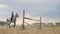 A woman jockey jumps over the barriers on a horse in a jumping competition, slow motion