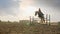 A woman jockey jumps over the barriers on a horse in a jumping competition, slow motion