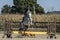 Woman jumping grey gelding; Horse Show