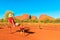 Woman at Kata Tjuta sunset