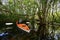 Woman kayaking on Turner River in Big Cypress National Preserve.