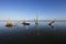 Woman kayaking on West Lake in Everglades National Park, Florida.