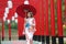 Woman in kimono holding umbrella walking into at the shrine red gate, in Japanese garden.