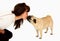 Woman kissing a dog mops