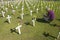 Woman kneels at mock cemetery