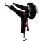 Woman Kung Fu Pencak Silat isolated