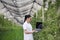 Woman with laptop in apple orchard