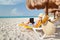 Woman with laptop relaxing on the deckchair