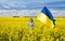 Woman with a large satin yellow and blue flag of Ukraine among a flowering rapeseed field